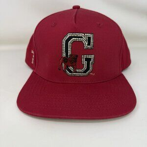 Mitchell & Ness Cactus Jack x Travis Scott Georgia Bulldogs UGA Snapback Hat Red